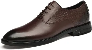Men's Leather Dress Shoes Fashion Classic Pointed Toe Low Oxfords Shoes Modern Wedding Office Lace-Up Loafers Shoes for Men